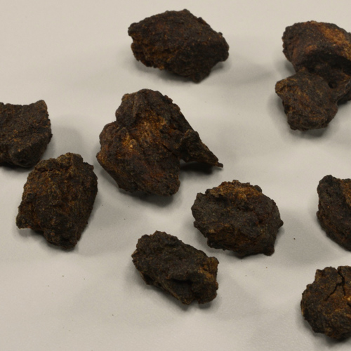 Dan Nan Xing (Arisaema with bile) as TCM ingredient