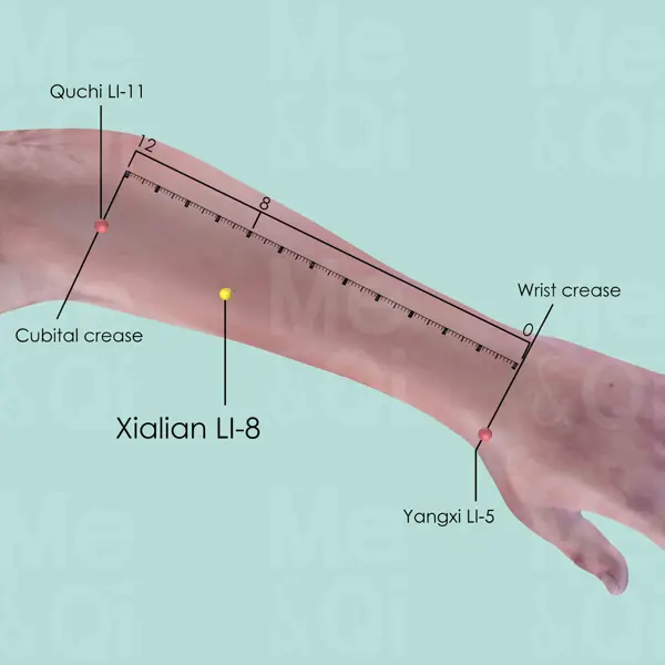 Xialian LI-8 location