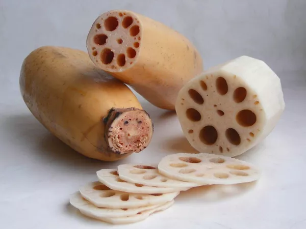 What the Lotus root plant looks like