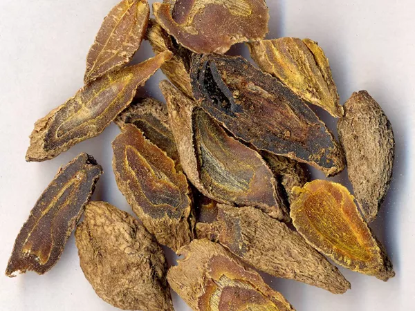 What Turmeric tuber looks like as a TCM ingredient