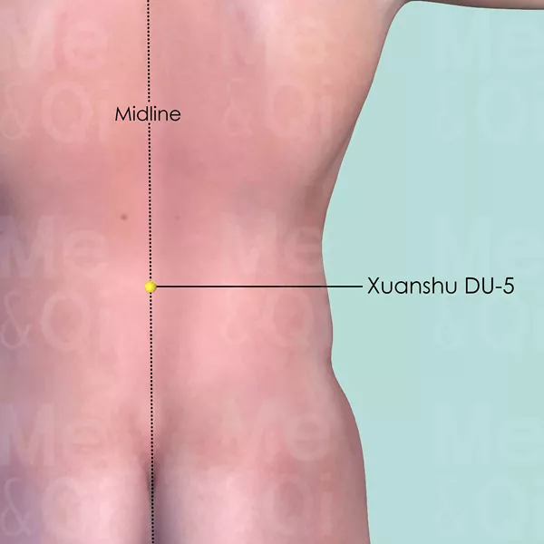 Xuanshu DU-5 - Skin view - Acupuncture point on Governing Vessel