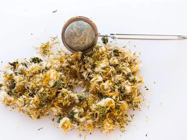 What Dandelion looks like as a TCM ingredient