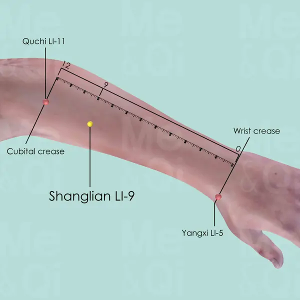 Shanglian LI-9 location