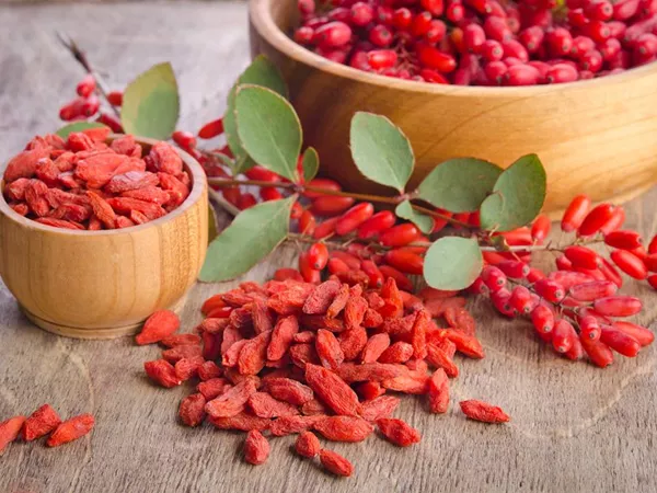 Goji berries (Gou Qi Zi) in Chinese Medicine