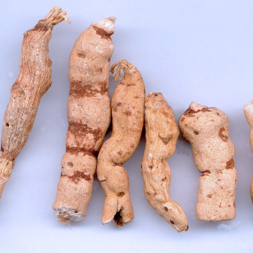 Gan Sui (Kansui roots) as TCM ingredient