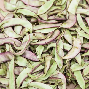 Hyacinth beans (Bai Bian Dou)