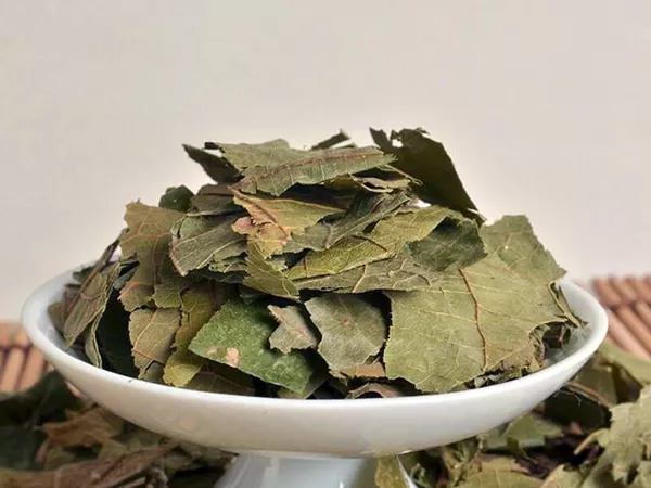 What Shiral leaf looks like as a TCM ingredient