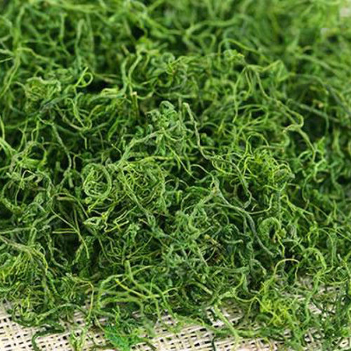 Jiao Gu Lan (Jiaogulan) as TCM ingredient