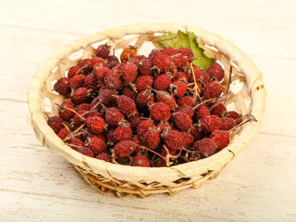 What Hawthorn berry looks like as a TCM ingredient