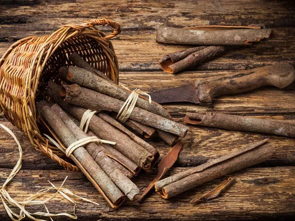 Cinnamon bark (Rou Gui) in Chinese Medicine
