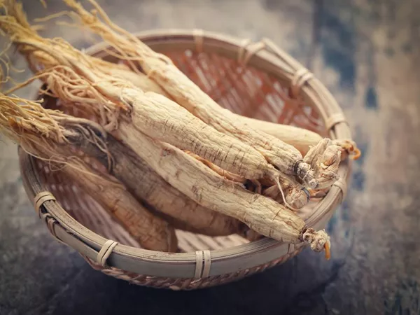 What Ginseng looks like as a TCM ingredient