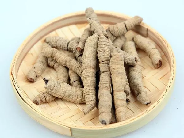 What Morinda root looks like as a TCM ingredient