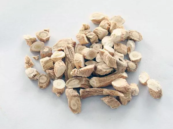 What Glehnia root looks like as a TCM ingredient
