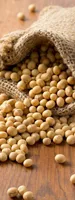 Fermented soybeans (Dan Dou Chi)