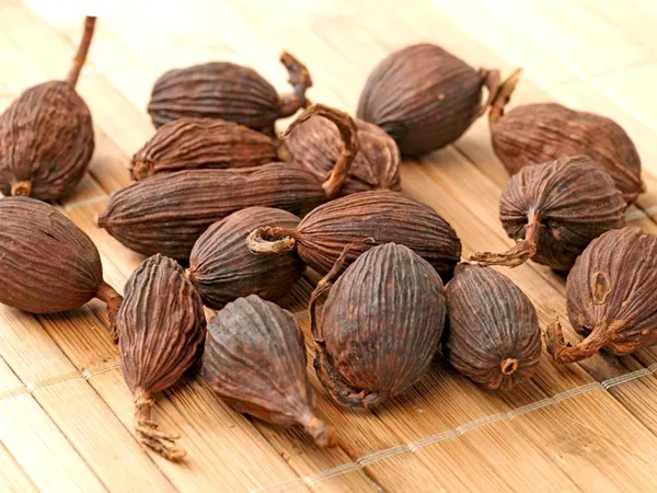 What Amomum fruit looks like as a TCM ingredient