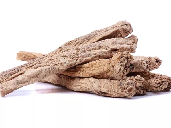 What Codonopsis root looks like as a TCM ingredient