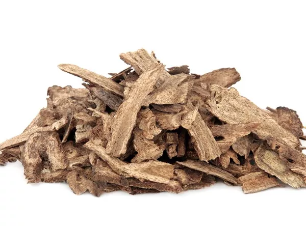 What Costus root looks like as a TCM ingredient
