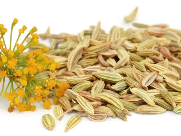 Fennel seeds (Xiao Hui Xiang) in Chinese Medicine
