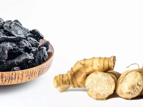 What King solomon's seal root looks like as a TCM ingredient