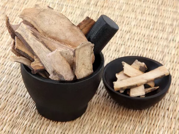 What White peony root looks like as a TCM ingredient