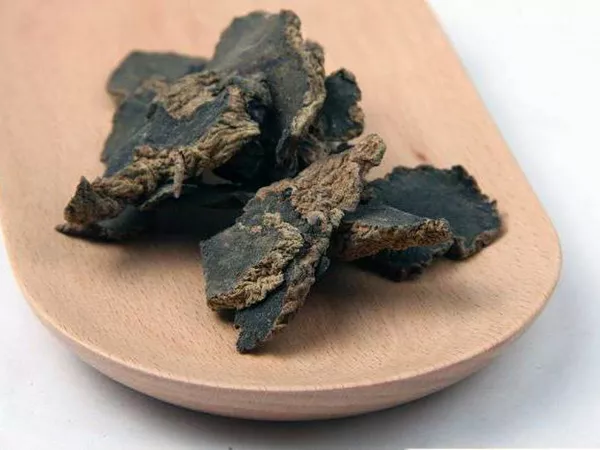 What Ningpo figwort root looks like as a TCM ingredient