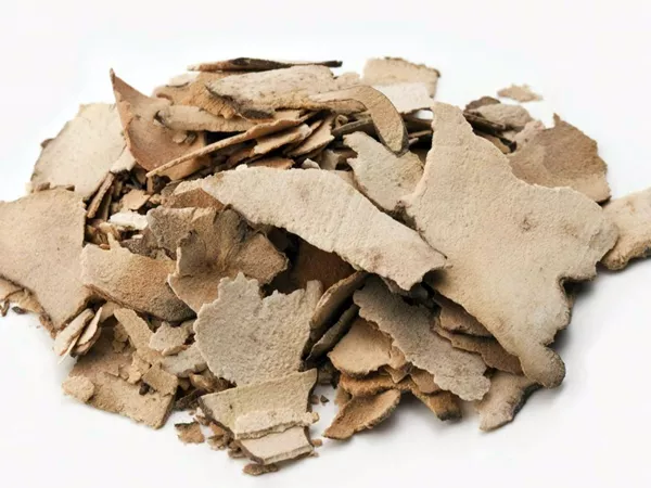 What Smilax glabra root looks like as a TCM ingredient