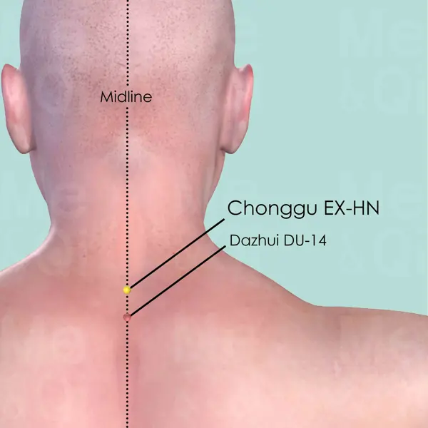 Chonggu EX-HN location