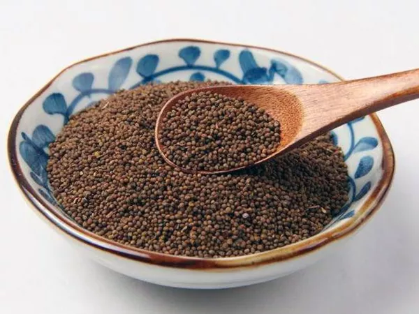 What Cuscuta seed looks like as a TCM ingredient