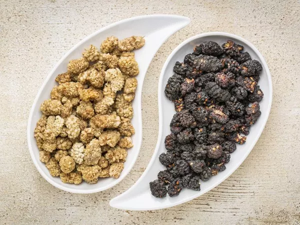 What Mulberry Fruit looks like as a TCM ingredient