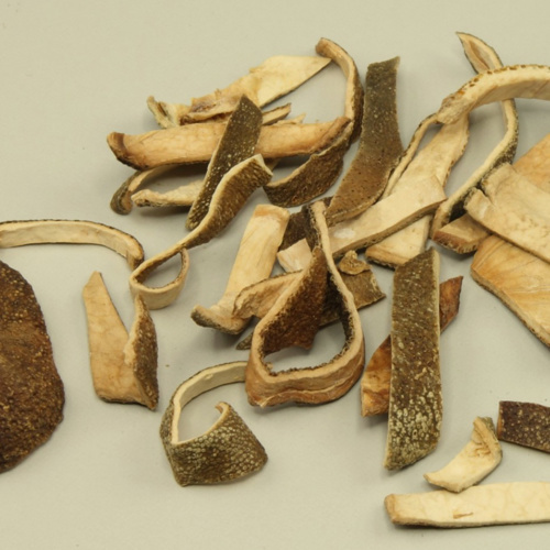 Qing Pi (Green tangerine peel) as TCM ingredient