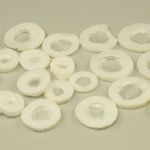 Tong Cao (Tetrapanax piths) as TCM ingredient