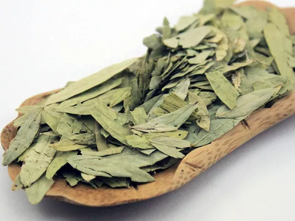 What Alexandrian senna leaf looks like as a TCM ingredient
