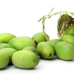 Chinese white olives