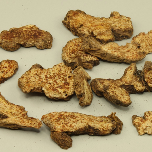 Cang Zhu (Black atractylodes rhizomes) as TCM ingredient