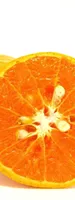 Bitter oranges (Zhi Ke)