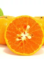 Bitter oranges (Zhi Ke)