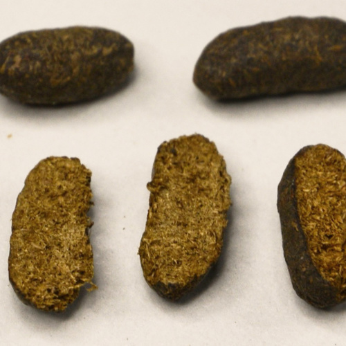 Wu Ling Zhi (Flying squirrel faeces) as TCM ingredient