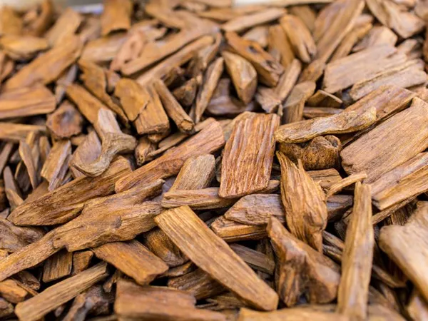 What Agarwood looks like as a TCM ingredient