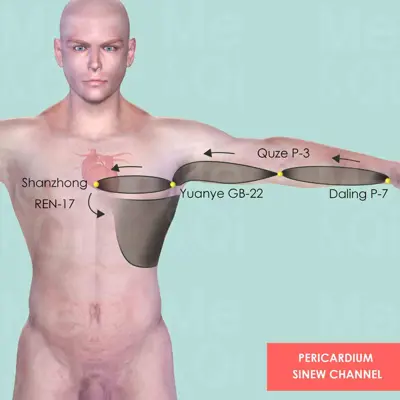 Pericardium Sinew Channel pathway