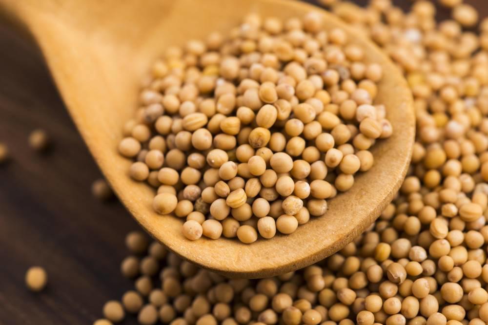 Huang Jie Zi (Brown mustard seeds) as TCM ingredient