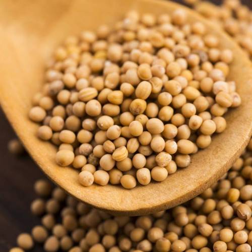 Huang Jie Zi (Brown mustard seeds) as TCM ingredient
