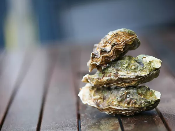 Mu Li ke (Oyster shells) in Chinese Medicine