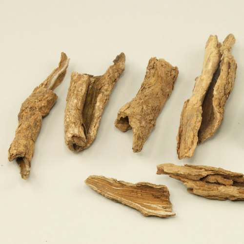 Di Gu Pi (Goji tree root bark) as TCM ingredient