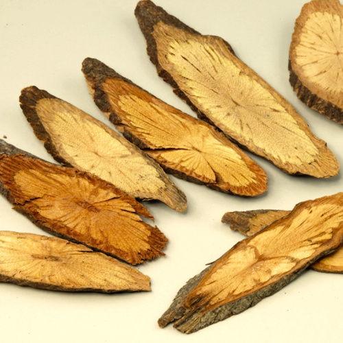 Ye Jiao Teng (Fleeceflower stems) as TCM ingredient