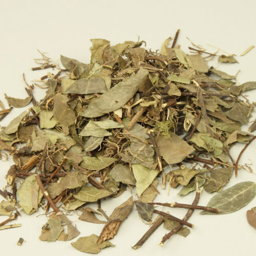 Luo Shi Teng (Star jasmine stems) as TCM ingredient