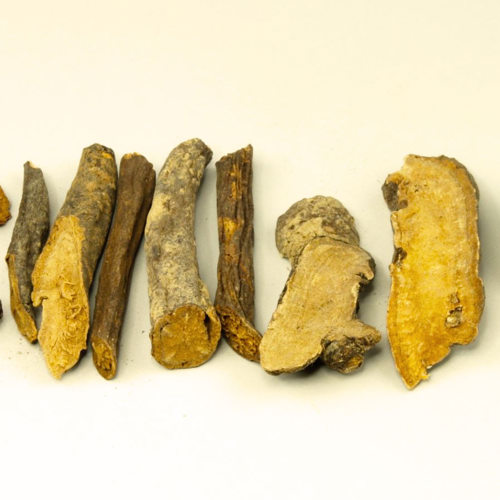 Di yu (Sanguisorba roots) as TCM ingredient