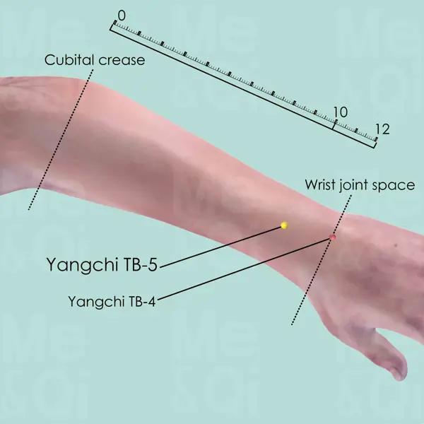 Waiguan SJ-5 location