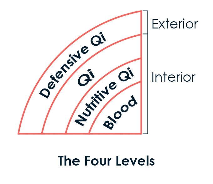 The Four Levels Theory in Chinese Medicine