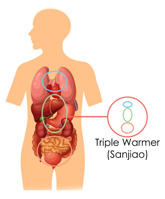 The Triple Burner According To Chinese Medicine