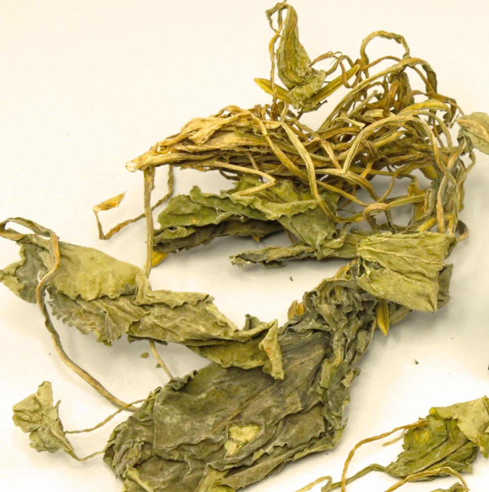 Zi Hua Di Ding (Tokyo violets) as TCM ingredient